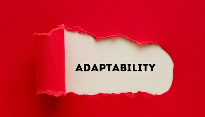 Adaptability: Being flexible and responsive to changing circumstances.