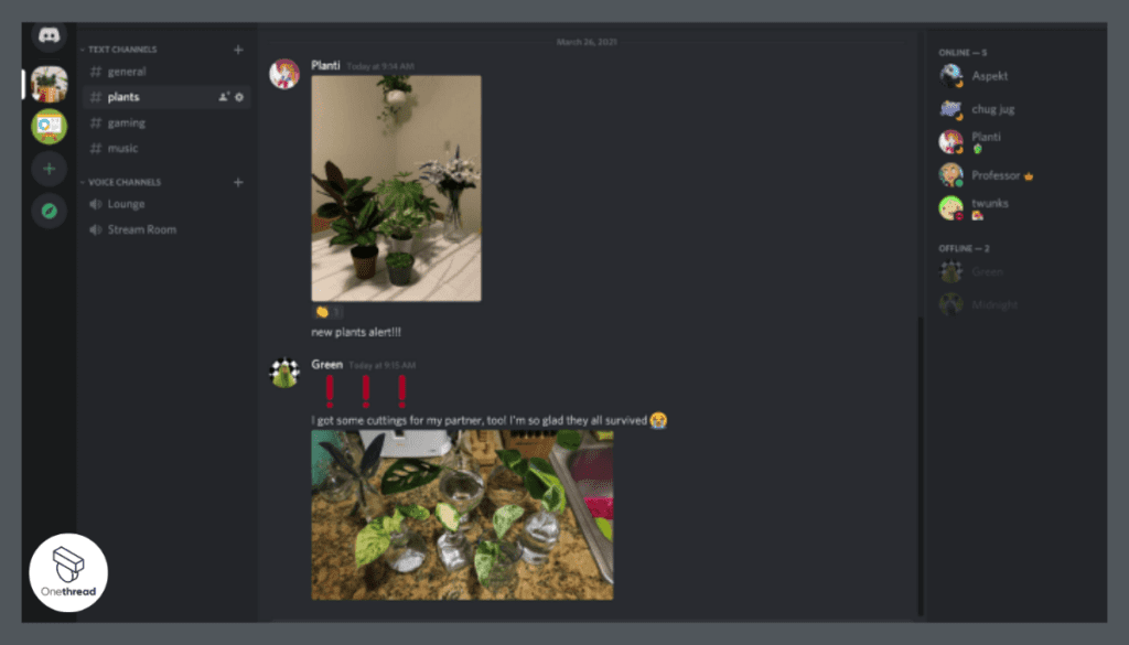 Discord Feature