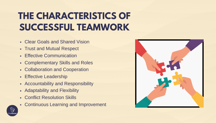 What are the characteristics of successful teamwork