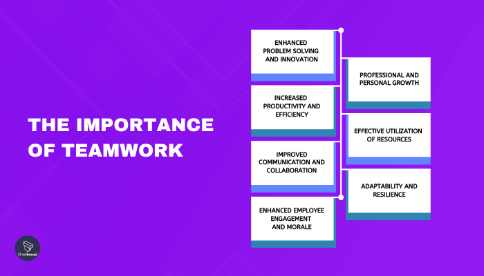 What are the characteristics of successful teamwork