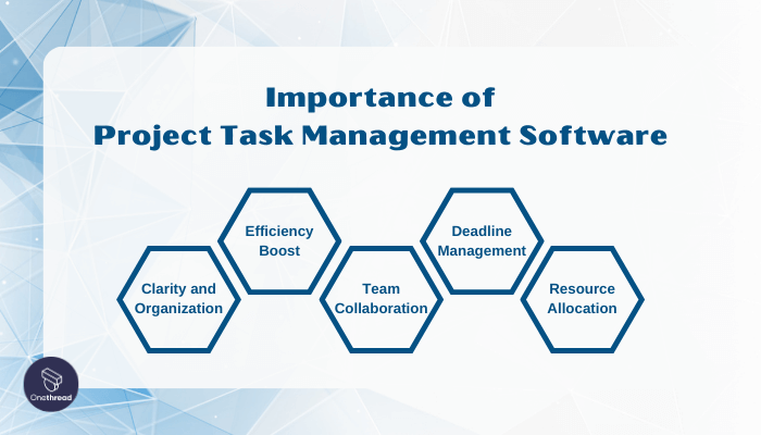 How Project Task Management Software Can Help Your Business