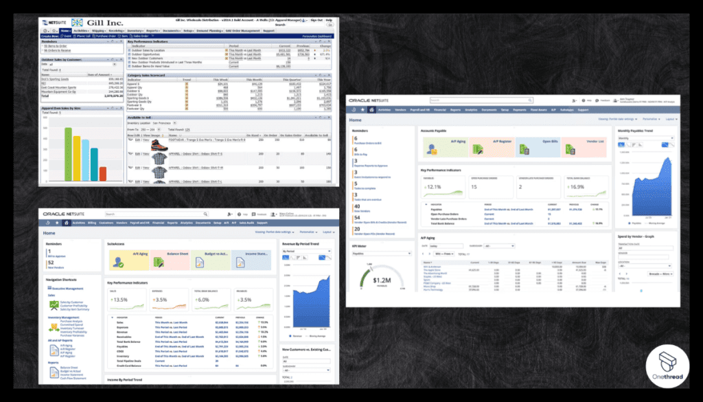 Netsuite ERP-Feature