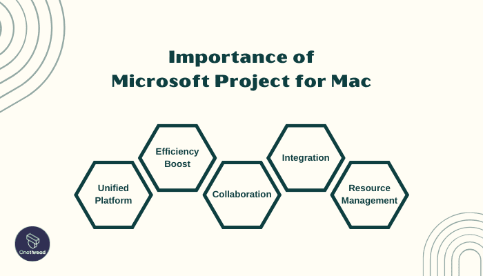 Why Microsoft Project for Mac Is Important to Your Business