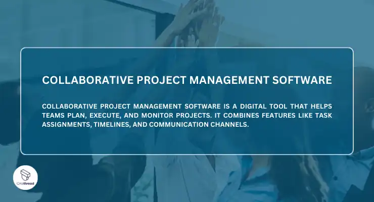 Collaborative Project Management Software