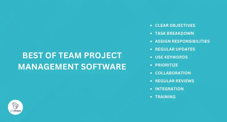 Getting the Most Out of Team Project Management Software