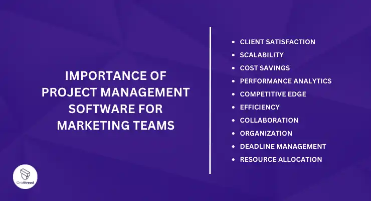 How Project Management Software For Marketing Teams Can Help Your Business