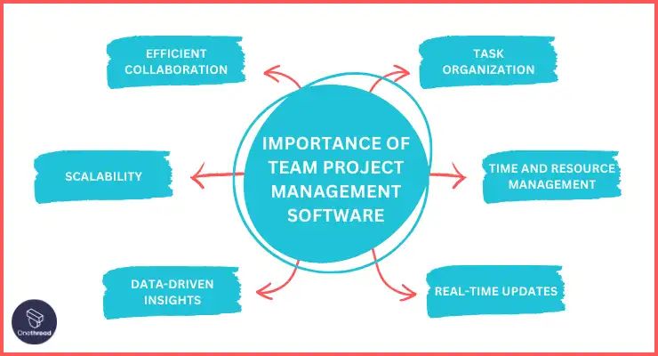 How Team Project Management Software Can Help Your Business