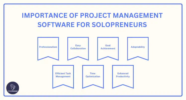 Why Project Management Software for Solopreneurs Is Important to Your Business