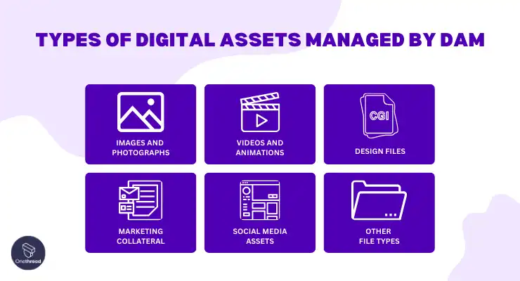 Types of Digital Assets Managed by DAM