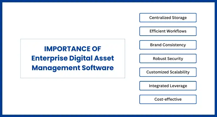 Why Enterprise Digital Asset Management Software Is Important to Your Business