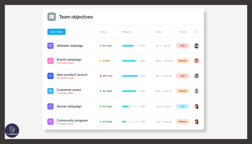 Asana-Portfolio View