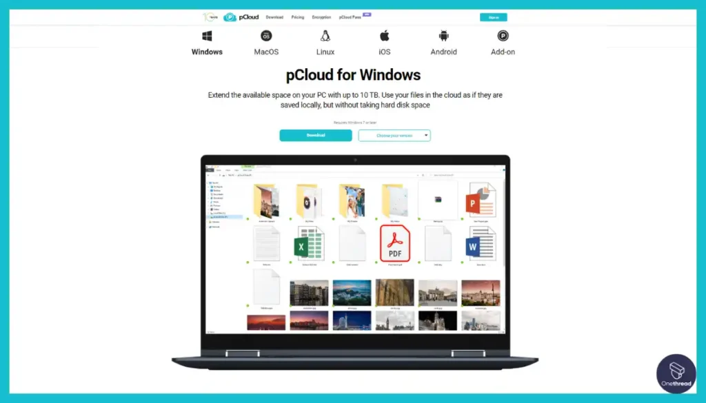 pCloud-Storage Options