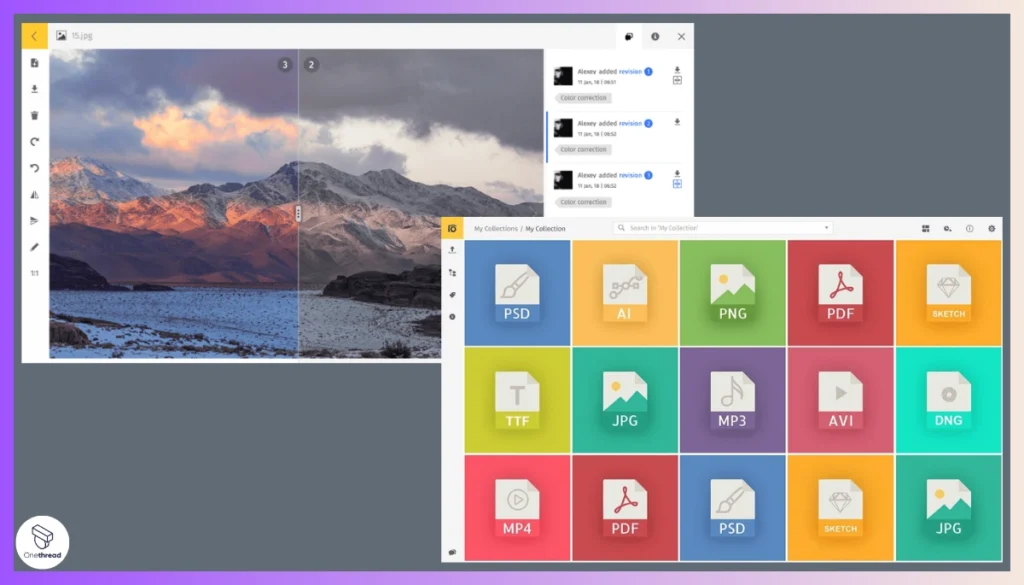 Pics.io-Version-control