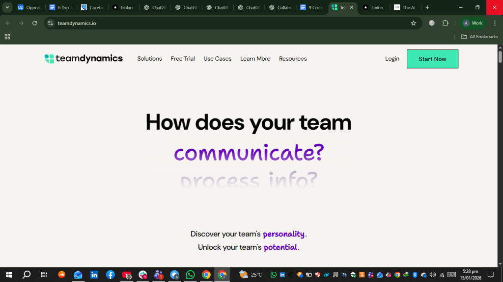 TeamDynamics